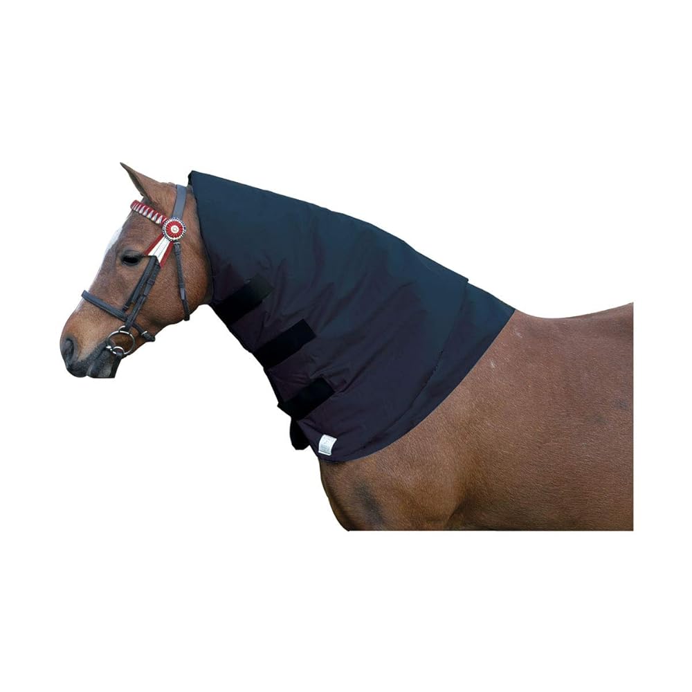 UNIVERSAL PRODUCTS　NECK SWEAT 61+y5PpW0xL._UY1000_.jpg